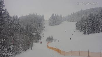 Захар Беркут 9 січня 2019 року, 2019-01-09 13:00