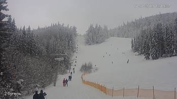 Захар Беркут 14 січня 2019 року, 2019-01-14 13:00