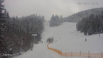 Захар Беркут 25 січня 2019 року, 2019-01-25 13:00