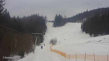 Захар Беркут 8 березня 2019 року, 2019-03-08 13:00