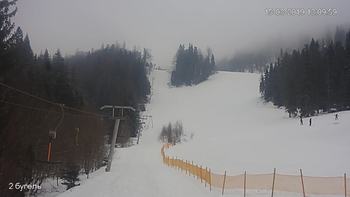 Захар Беркут 15 березня 2019 року, 2019-03-15 13:00