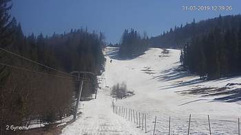 Захар Беркут 31 березня 2019 року, 2019-03-31 13:00