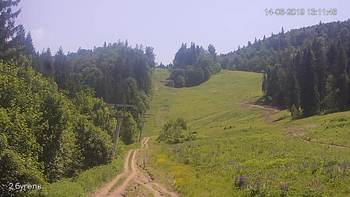 Захар Беркут 14 червня 2019 року, 2019-06-14 13:00