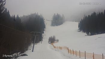 Захар Беркут 8 березня 2020 року, 2020-03-08 10:00