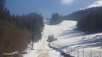 Захар Беркут 17 березня 2020 року, 2020-03-17 13:00