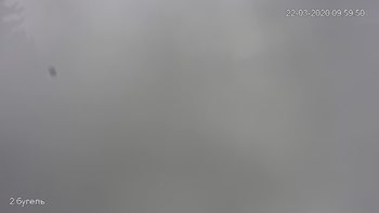 Захар Беркут 22 березня 2020 року, 2020-03-22 10:00