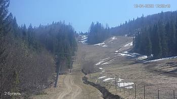 Захар Беркут 12 квітня 2020 року, 2020-04-12 13:00