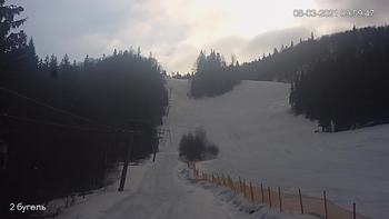 Захар Беркут 8 березня 2021 року, 2021-03-08 10:00