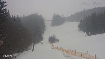 Захар Беркут 8 березня 2021 року, 2021-03-08 13:00