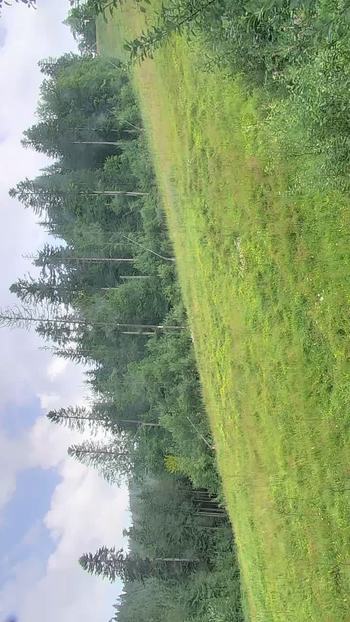 Буковель 1 серпня 2018 року, 2018-08-01 10:00