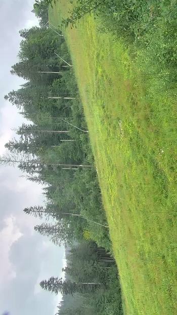 Буковель 1 серпня 2018 року, 2018-08-01 13:00