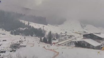 Буковель 31 січня 2019 року, 2019-01-31 13:00