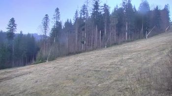Буковель 22 листопада 2019 року, 2019-11-22 16:00
