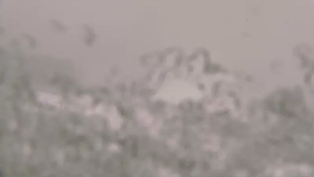 Буковель 28 грудня 2019 року, 2019-12-28 13:00