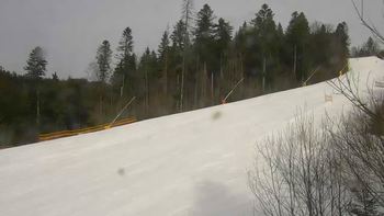 Буковель 4 березня 2021 року, 2021-03-04 13:00