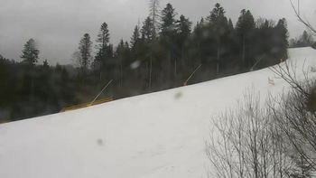 Буковель 14 березня 2021 року, 2021-03-14 10:00