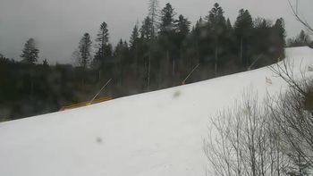 Буковель 14 березня 2021 року, 2021-03-14 13:00