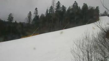 Буковель 14 березня 2021 року, 2021-03-14 16:00