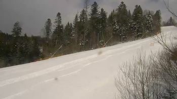 Буковель 20 березня 2021 року, 2021-03-20 13:00