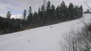 Буковель 20 березня 2021 року, 2021-03-20 16:00