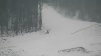 Буковель 16 січня 2018 року, 2018-01-16 16:00