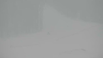 Буковель 23 лютого 2018 року, 2018-02-23 16:00