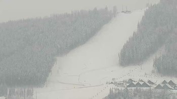 Буковель 24 січня 2019 року, 2019-01-24 10:00