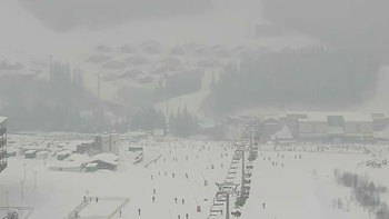 Буковель 24 січня 2019 року, 2019-01-24 16:00