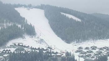 Буковель 20 січня 2021 року, 2021-01-20 13:00