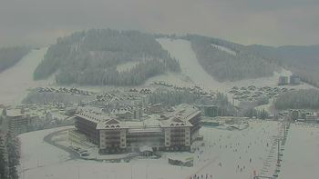 Буковель 9 січня 2022 року, 2022-01-09 13:00
