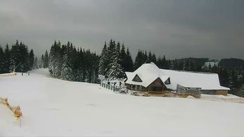 Буковель 8 грудня 2017 року, 2017-12-08 10:00