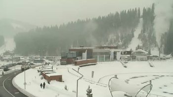 Буковель 30 січня 2019 року, 2019-01-30 10:00