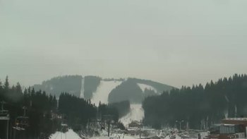 Буковель 24 лютого 2019 року, 2019-02-24 10:00