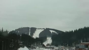 Буковель 24 лютого 2019 року, 2019-02-24 16:00