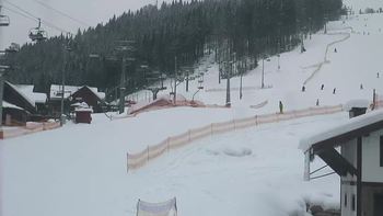 Буковель 12 січня 2019 року, 2019-01-12 10:00