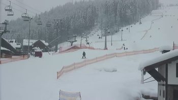Буковель 24 січня 2019 року, 2019-01-24 13:00