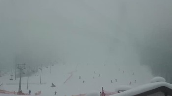 Буковель 31 січня 2019 року, 2019-01-31 10:00