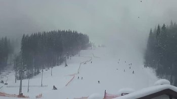 Буковель 31 січня 2019 року, 2019-01-31 13:00