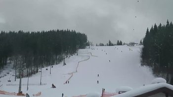 Буковель 31 січня 2019 року, 2019-01-31 16:00
