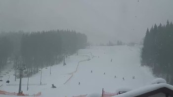 Буковель 1 лютого 2019 року, 2019-02-01 10:00