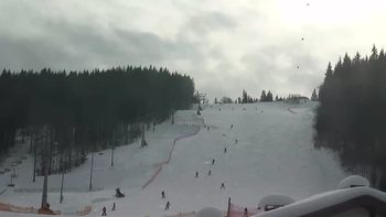 Буковель 3 лютого 2019 року, 2019-02-03 13:00