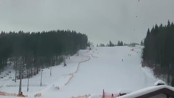 Буковель 9 лютого 2019 року, 2019-02-09 10:00