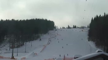 Буковель 10 лютого 2019 року, 2019-02-10 10:00