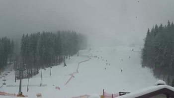 Буковель 11 лютого 2019 року, 2019-02-11 10:00