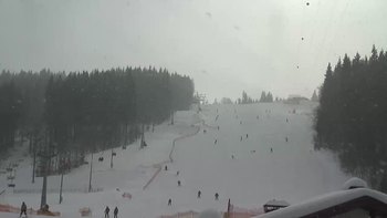 Буковель 12 лютого 2019 року, 2019-02-12 13:00