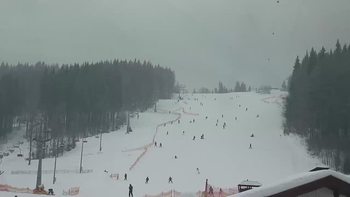 Буковель 20 лютого 2019 року, 2019-02-20 10:00