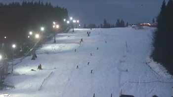 Буковель 13 грудня 2019 року, 2019-12-13 16:00