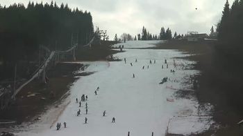 Буковель 19 грудня 2019 року, 2019-12-19 13:00