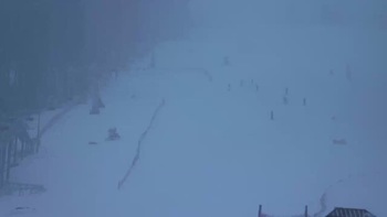 Буковель 28 грудня 2019 року, 2019-12-28 16:00