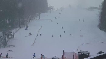 Буковель 29 грудня 2019 року, 2019-12-29 13:00